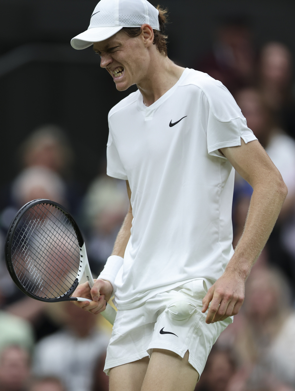 此次新加坡 此次新加坡