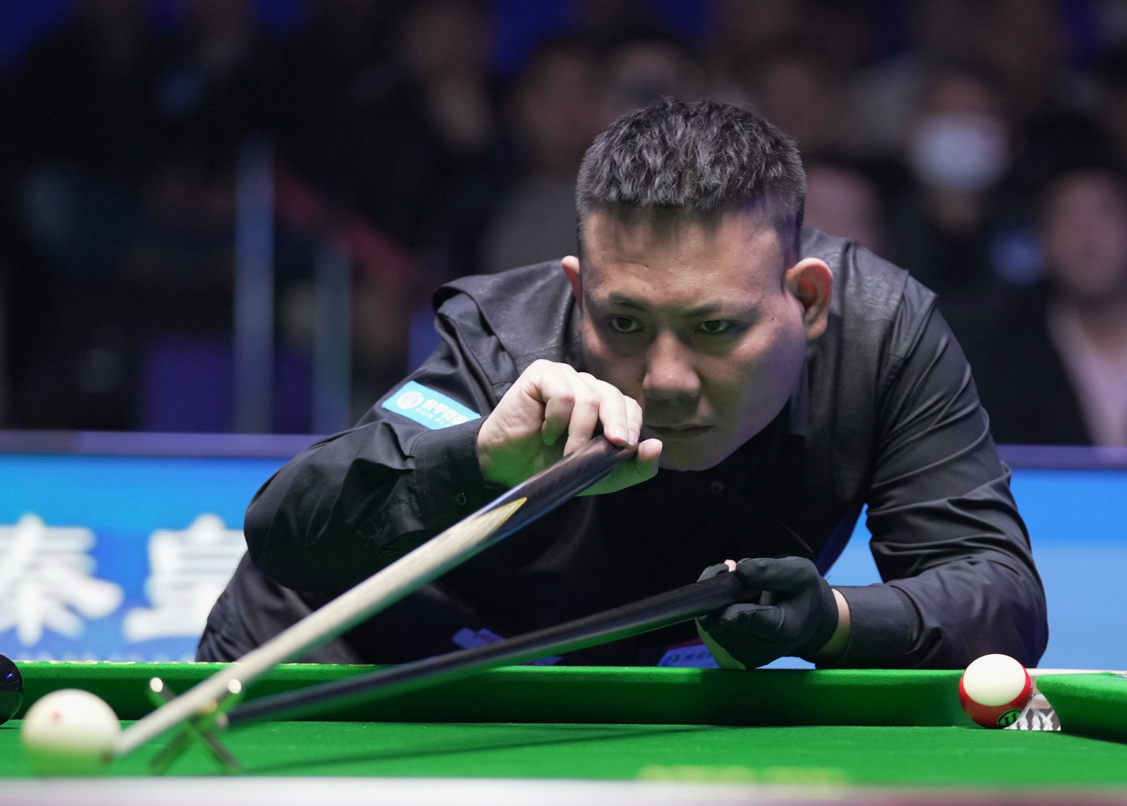 他们的表现 他们的表现