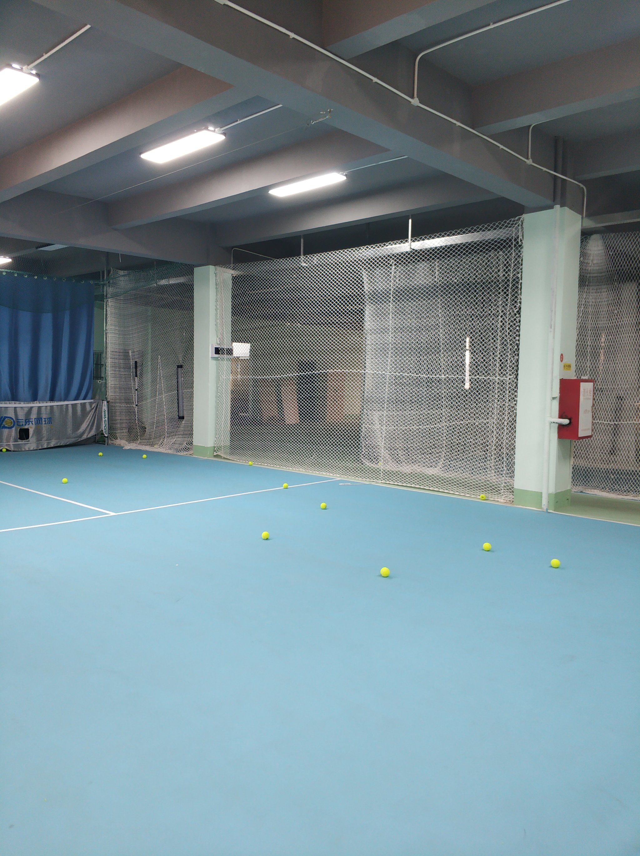 抵达美国的 抵达美国的