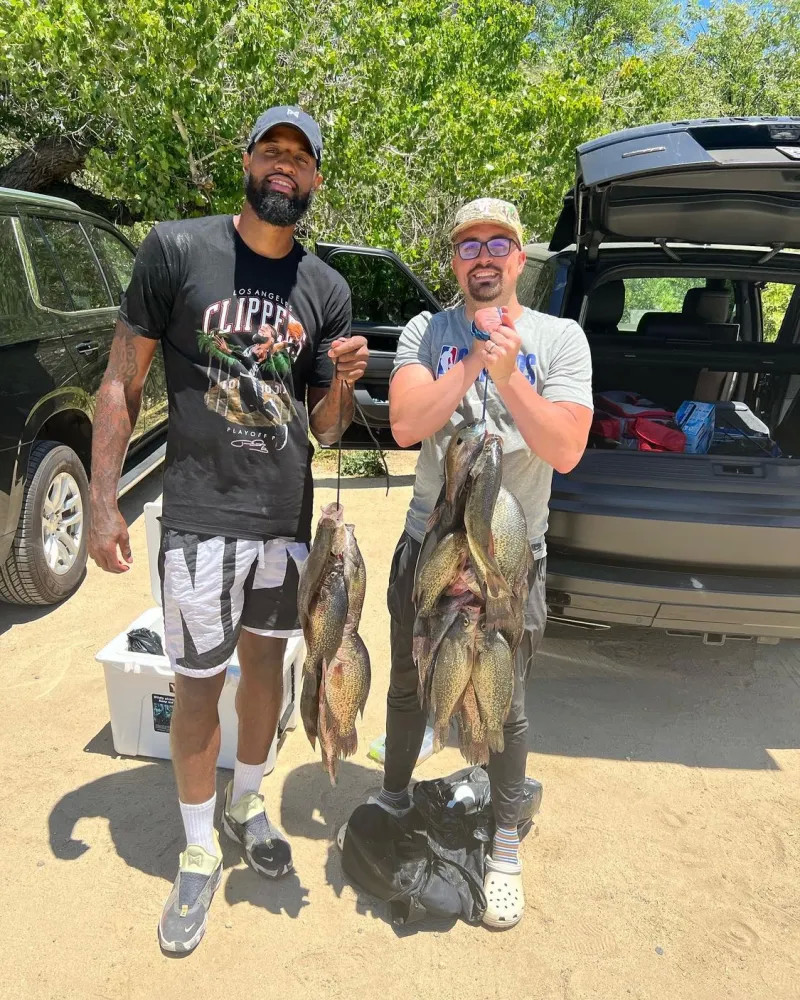 了约3倍 了约3倍