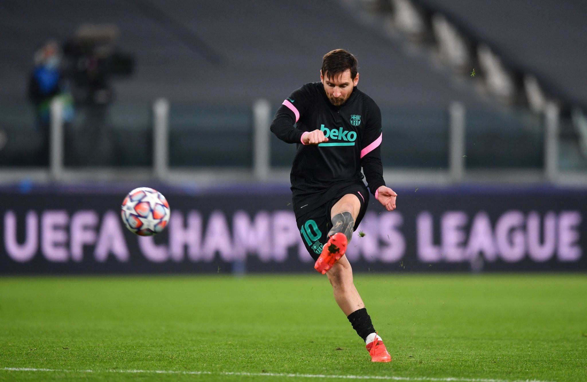 想引进他的 想引进他的